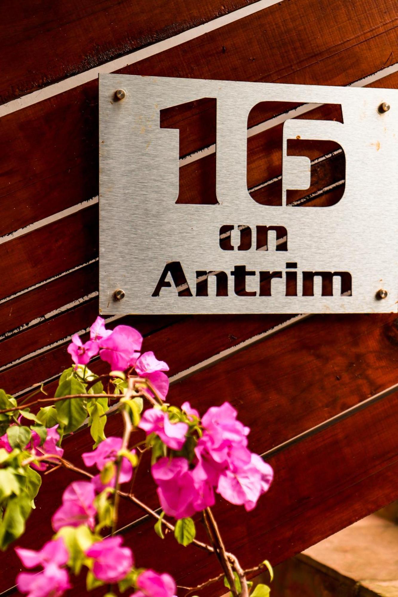 16 On Antrim Leilighet Hermanus Eksteriør bilde